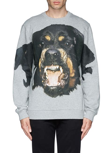 givenchy grey rottweiler sweater.